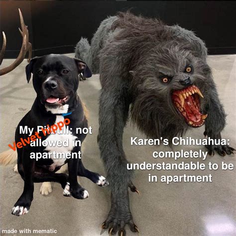 what is that velvet meme.